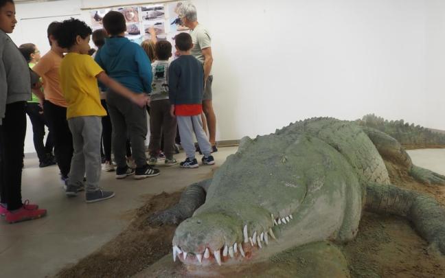 El cocodrilo de arena sorprende y fascina a cuantos tienen ocasion de verlo en la muestra.