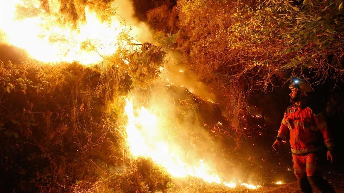Un bombero trabaja en la extinción de uno de los incendios forestales del pasado mes de agosto, en A Pobra de Brollón (Lugo).
