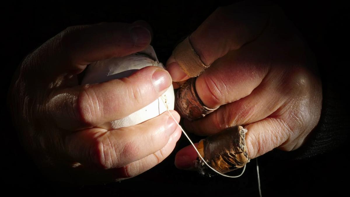 La imagen 'Kiski' captada por José Ángel Amuchastegui.