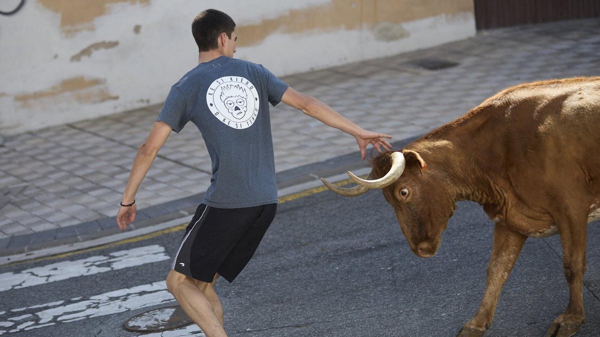 Bergarako Zezenak, con Iñigo Almorza al frente, se encargará de dirigir la cita con las vaquillas.