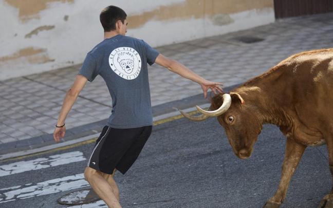 Bergarako Zezenak, con Iñigo Almorza al frente, se encargará de dirigir la cita con las vaquillas.