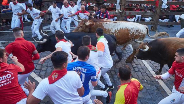 Toros durante un encierro de San Fermín 2024 / EP Toros durante un encierro de San Fermín 2024