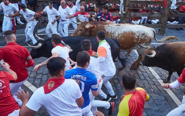 Toros durante un encierro de San Fermín 2024 / EP Toros durante un encierro de San Fermín 2024