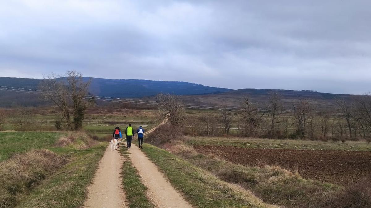 En Imagenes: Por los montes de Espinosa de los Monteros