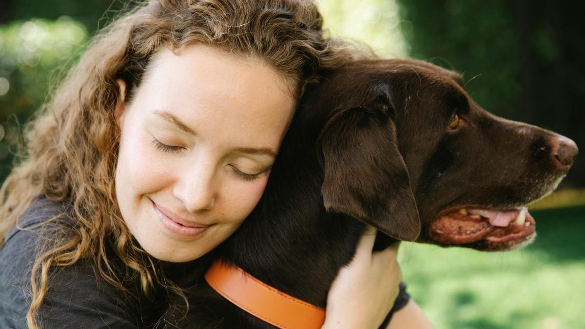 Por qué abrazar a tu perro no es la mejor forma de demostrarle cariño, según un estudio