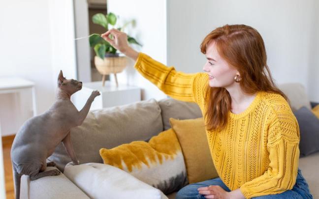 Una mujer llama la atención de su gato con un juguete impovisado. Una mujer llama la atención de su gato con un juguete impovisado.