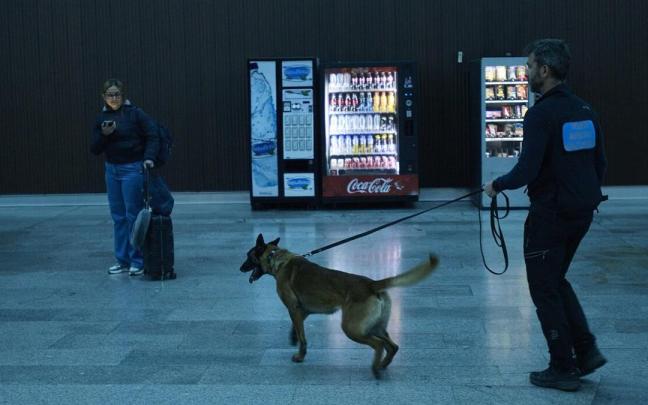 Así trabaja Tyrion, el perro policía antidroga de la Policía Municipal de Pamplona