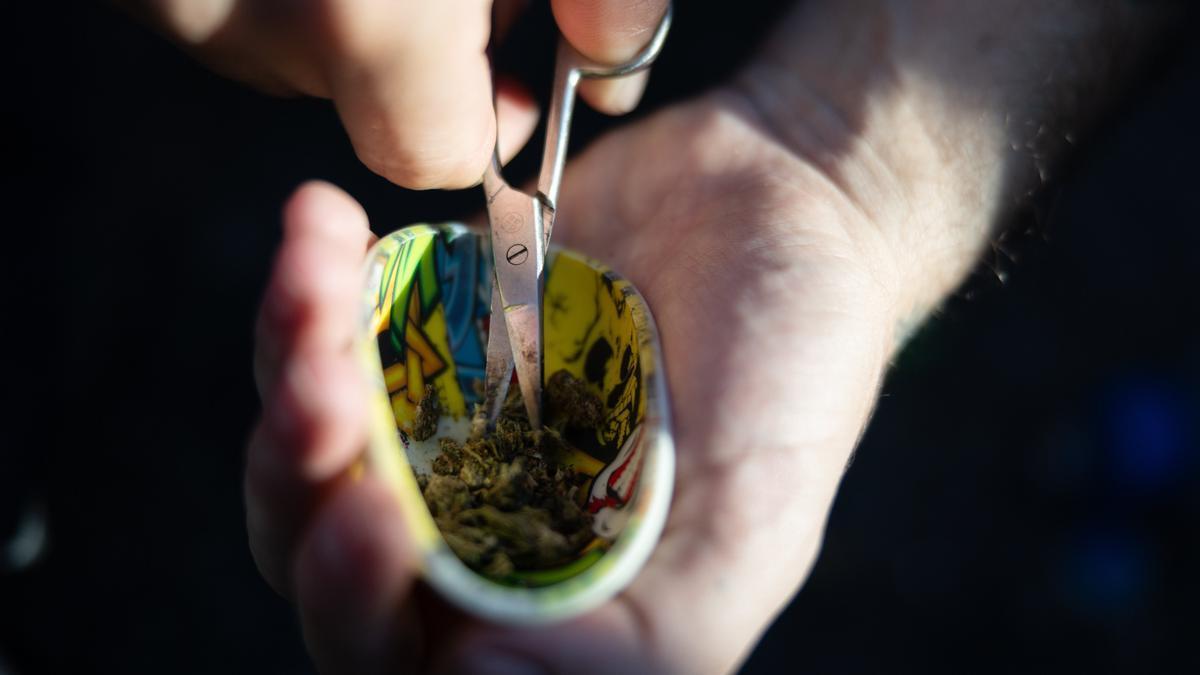 Un consumidor de cannabis, preparando dicha sustancia estupefaciente.