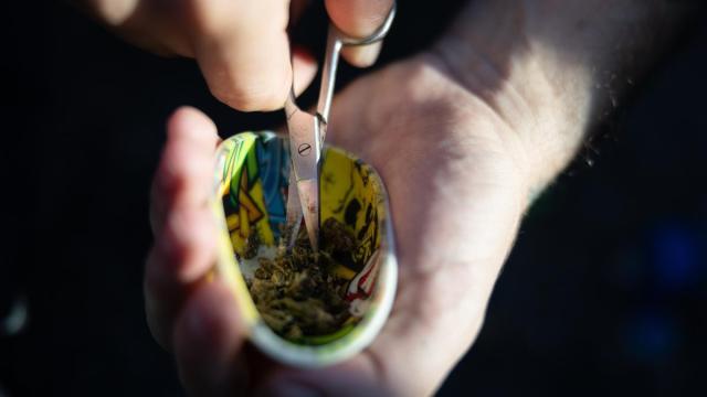 Un consumidor de cannabis, preparando dicha sustancia estupefaciente.