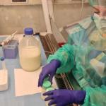 El Banco de Leche Materna de Osakidetza.