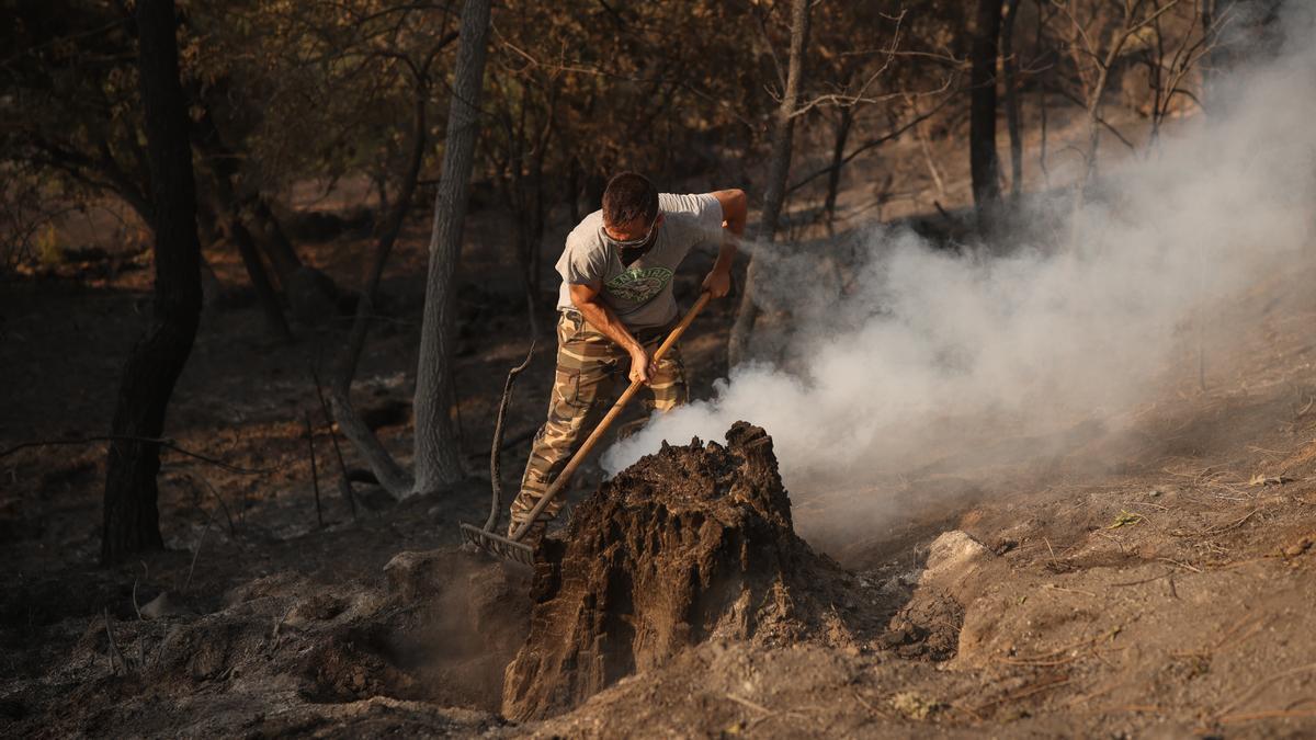 Una hombre trata de apagar lo que queda de fuego en el incendio forestal a las afueras de Casavieja, en Ávila.