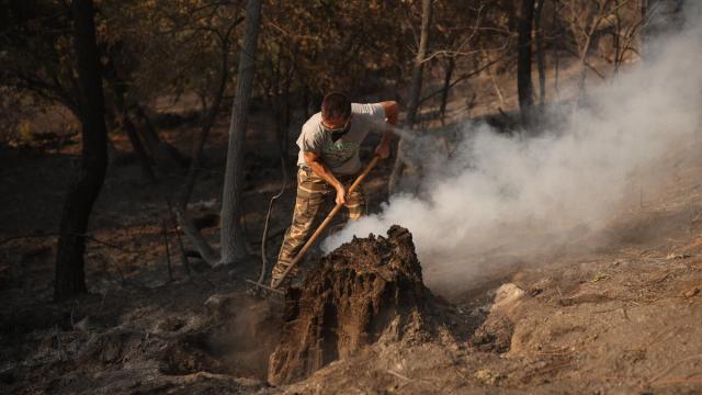 Una hombre trata de apagar lo que queda de fuego en el incendio forestal a las afueras de Casavieja, en Ávila.