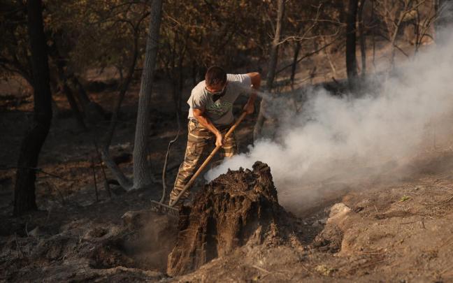 Una hombre trata de apagar lo que queda de fuego en el incendio forestal a las afueras de Casavieja, en Ávila.