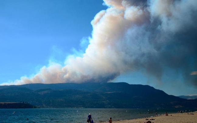 Estiman en más de 13 millones el número de hectáreas calcinadas hasta el momento.