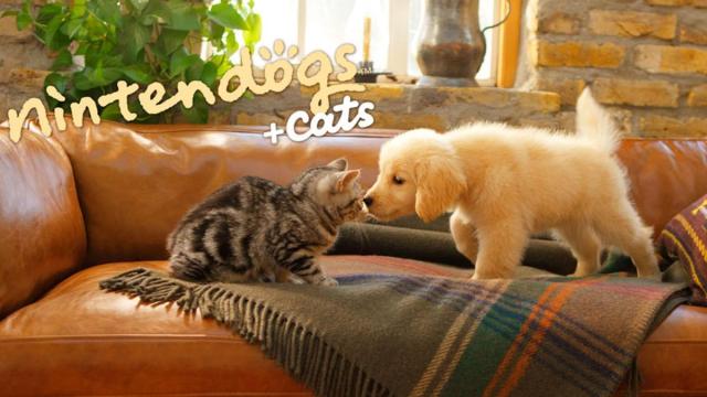 'Nintendogs And Cats'.