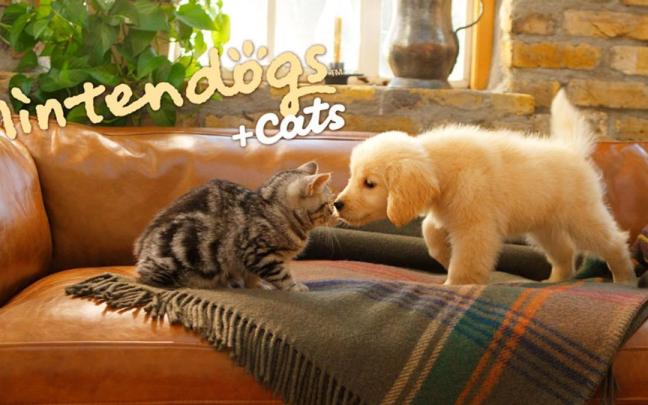 'Nintendogs And Cats'.