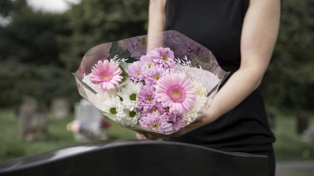 Araban, 752 pertsona hil dira, %2,7 gutxiago urteko bigarren hiruhilekoan.