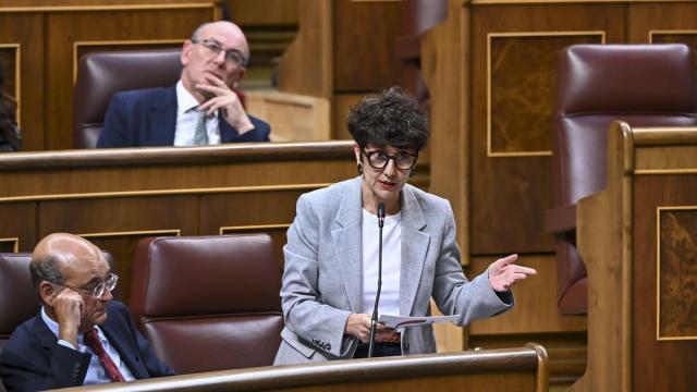 Maribel Vaquero durante la sesión de control en el Congreso. / EFE Maribel Vaquero durante la sesión de control en el Congreso.