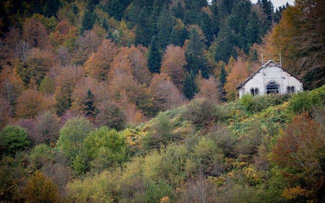 En imágenes: Cuatro bosques mágicos para disfrutar del otoño en Euskal Herria