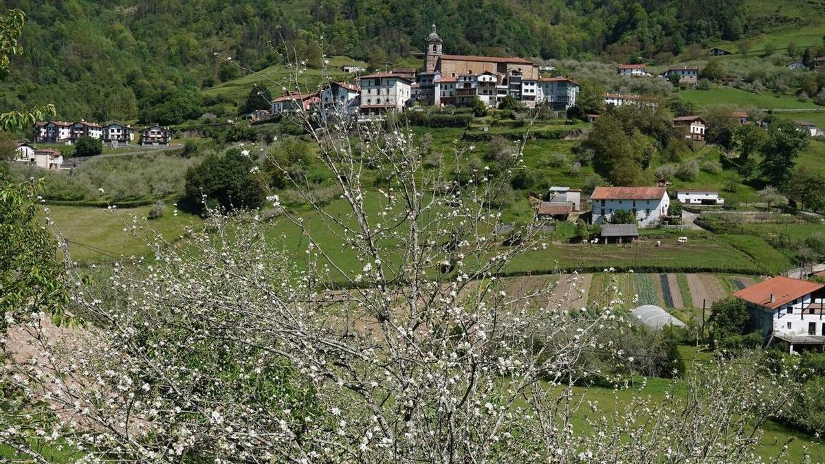 La floración de los manzanos es uno de los atractivos para sumarse este fin de semana a la visita guiada a Errezil