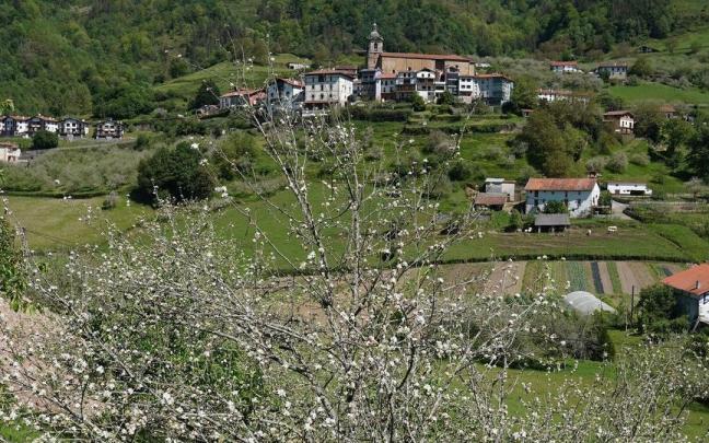 La floración de los manzanos es uno de los atractivos para sumarse este fin de semana a la visita guiada a Errezil / Ruben Plaza La floración de los manzanos es uno de los atractivos para sumarse este fin de semana a la visita guiada a Errezil