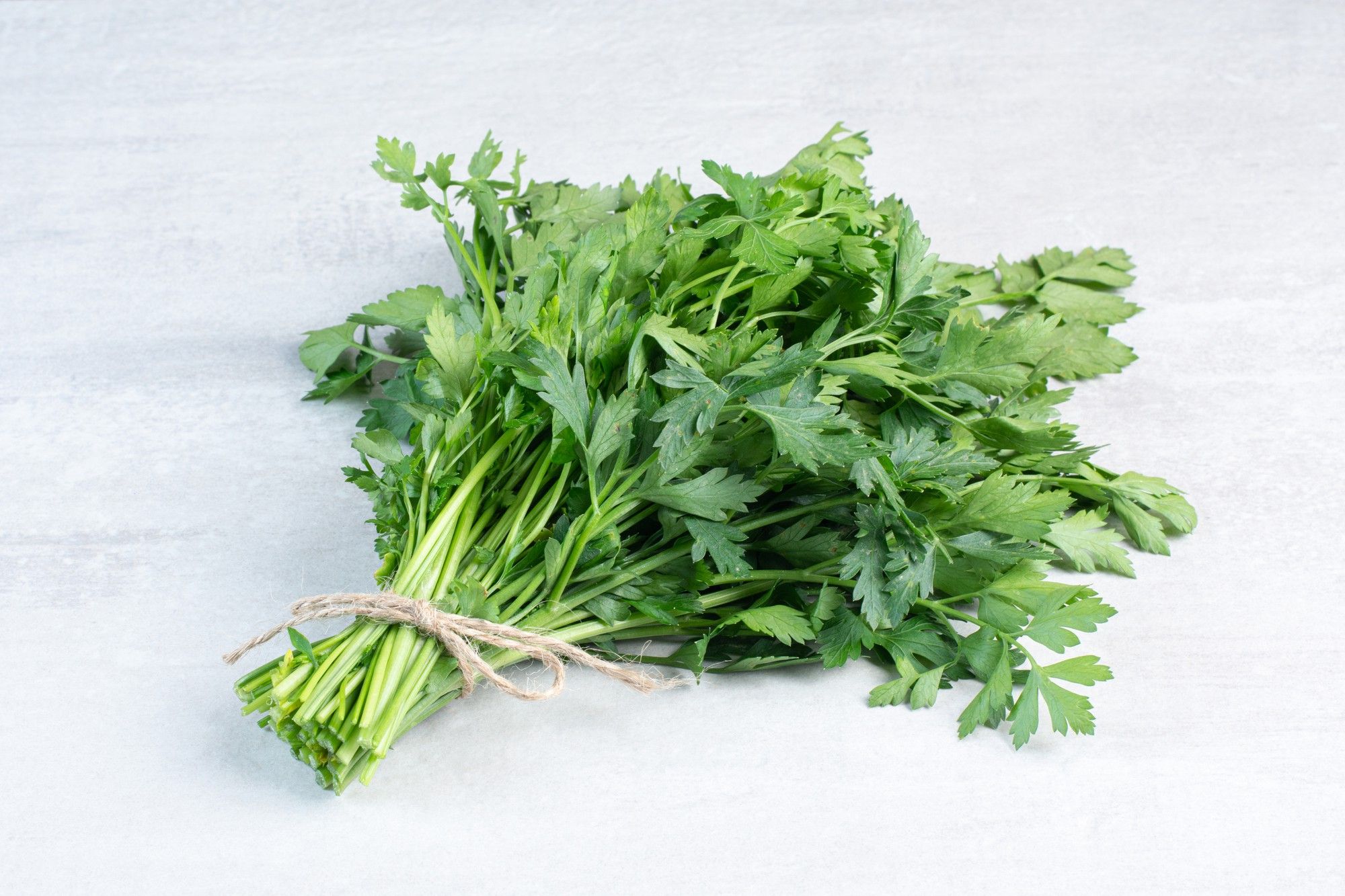 Ramillete de cilantro, un rico condimento para sopas y cremas.