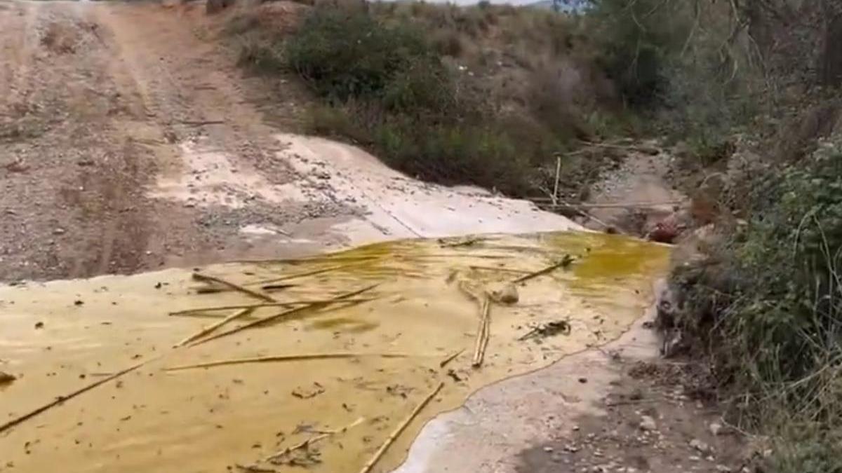 El vertido de aceite de Palma en la riera Seca.