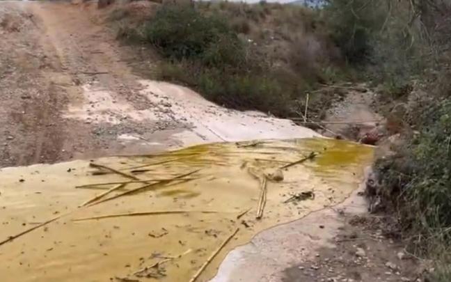 El vertido de aceite de Palma en la riera Seca.