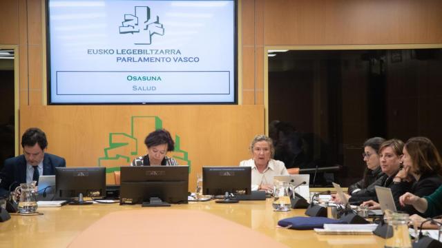 Sagardui en su comparecencia de este mediodía en la Comisión de Salud