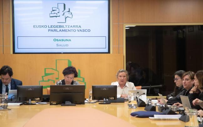 Sagardui en su comparecencia de este mediodía en la Comisión de Salud