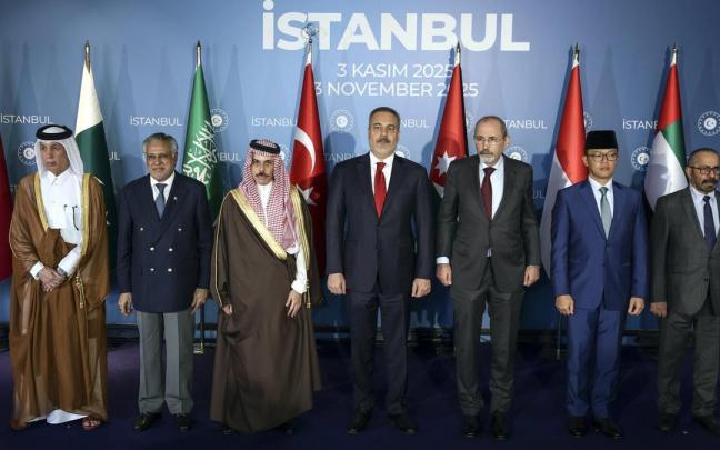 Los ministros de Exteriores de Catar, Pakistán, Arabia Saudí, Turquía, Jordania, Indonesia y Emiratos Árabes Unidos.
