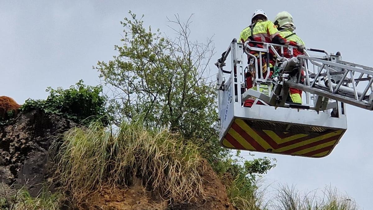 Rescate del oso, que finalmente este jueves ha fallecido.