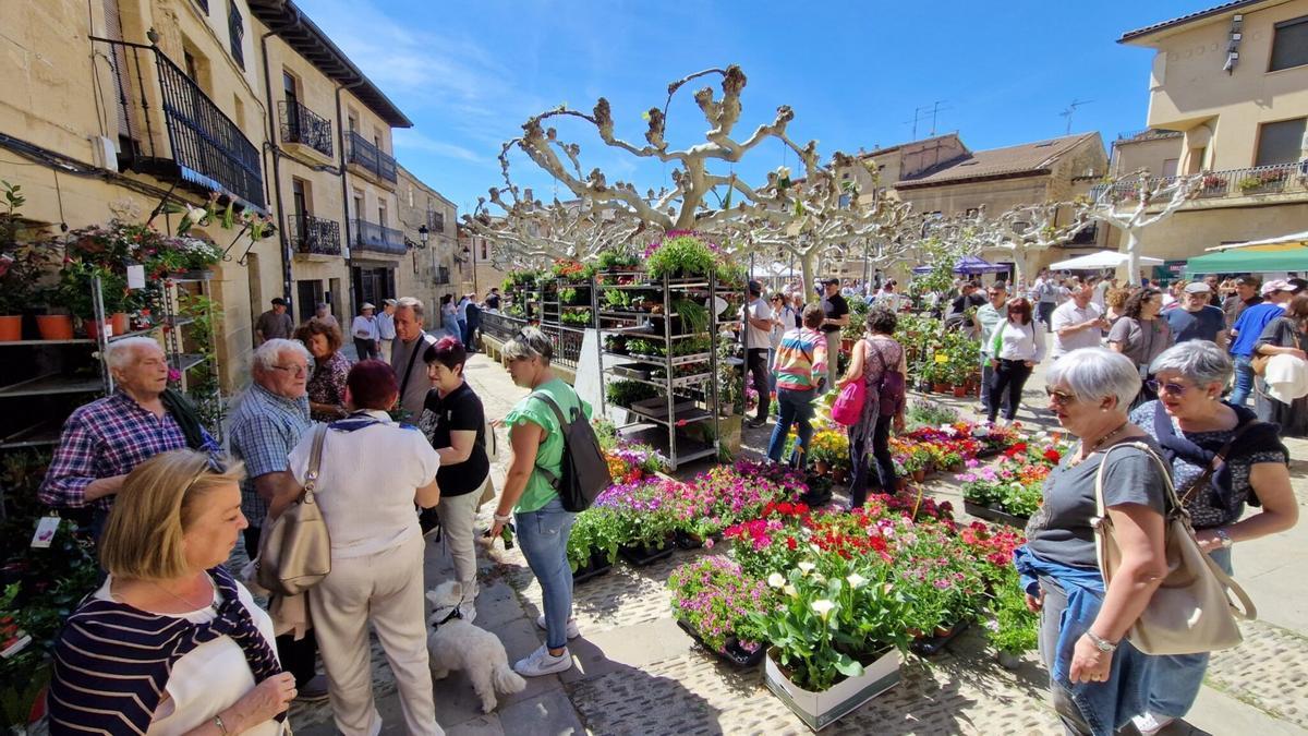 Mercado de la Flor y la Huerta de 2024 en Elciego