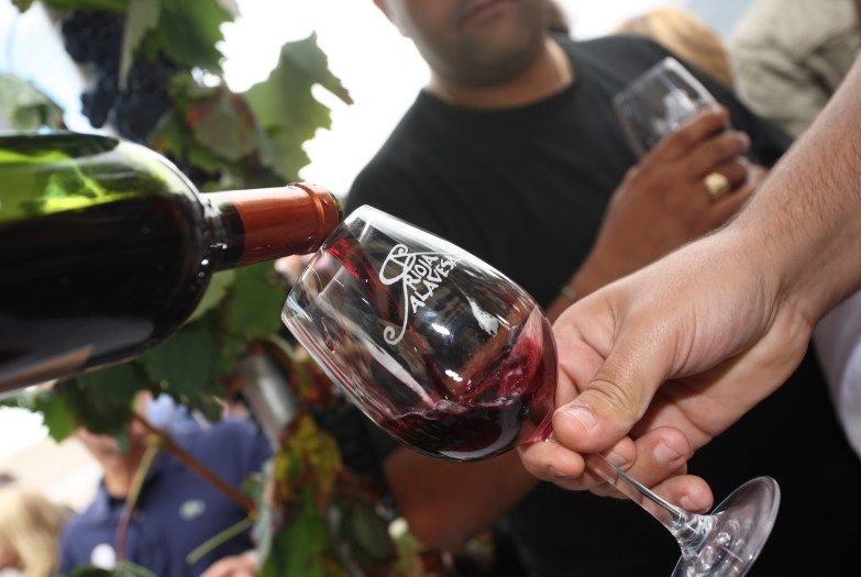 Degustación de vinos de Rioja Alavesa