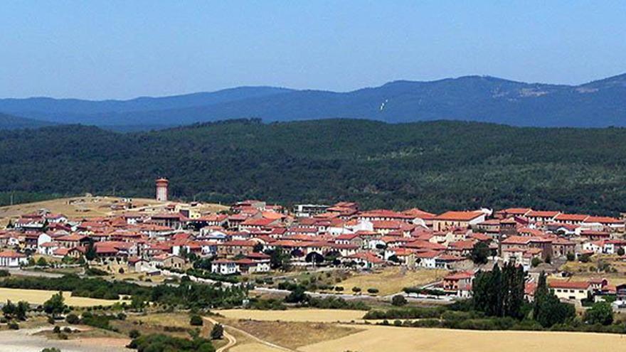 Tres rutas por la comarca soriana de Pinares