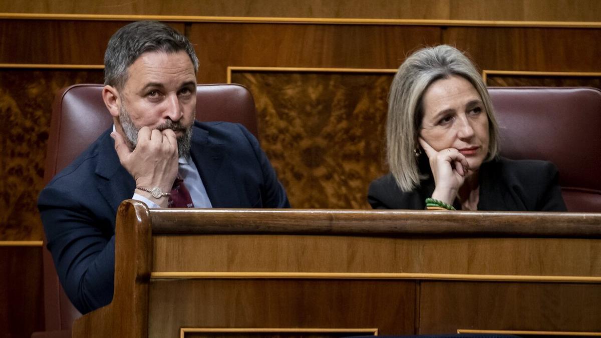 Abascal y Cañizares, durante la sesión en el Congreso