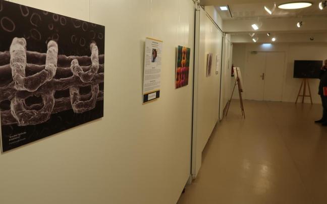 La exposición ‘Ciencia en femenino:lo que no se ve a simple vista’.