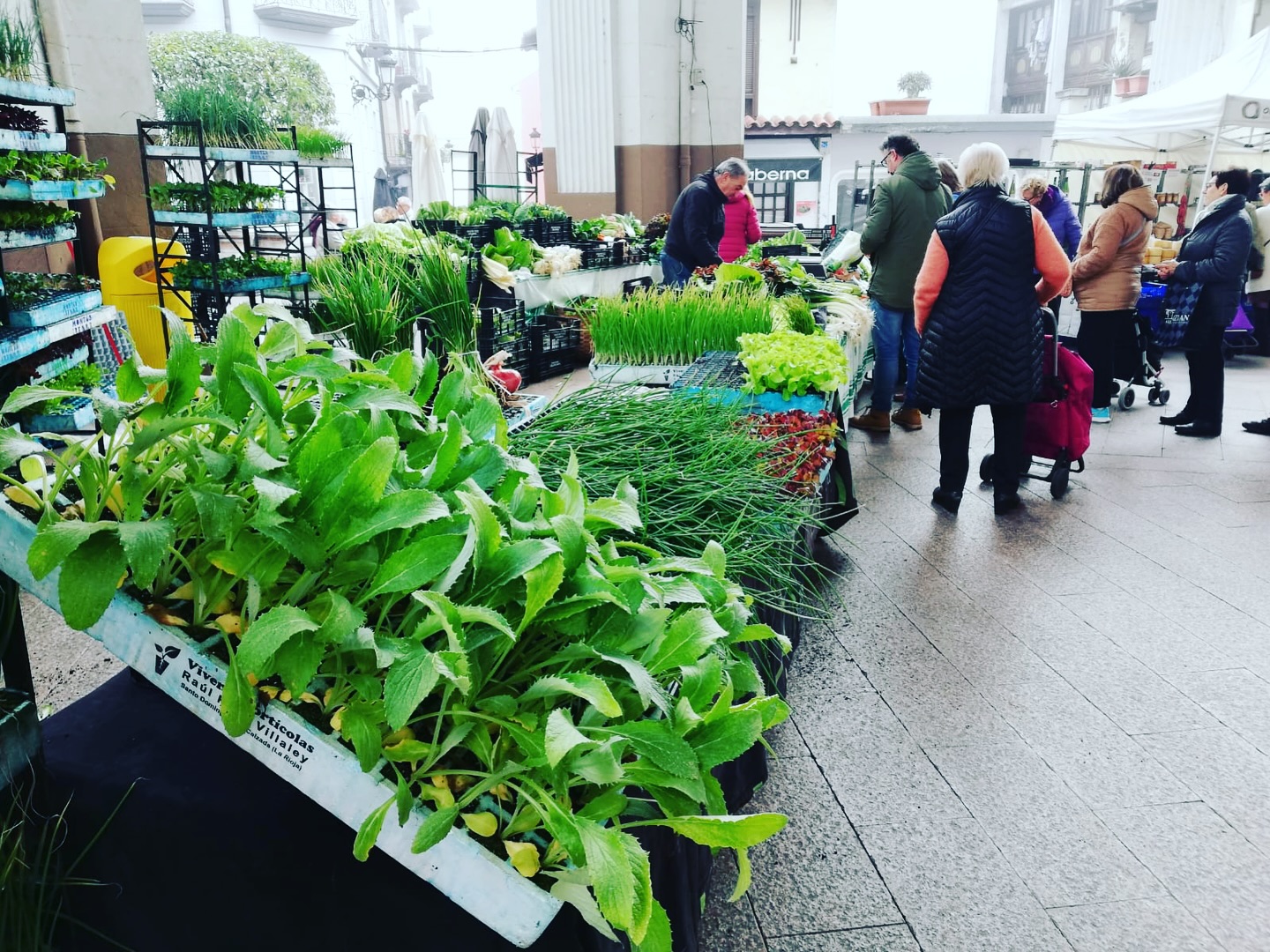 Puestos de baserritarras en el mercado de Ordizia