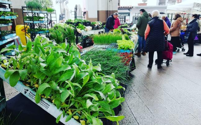 Puestos de baserritarras en el mercado de Ordizia