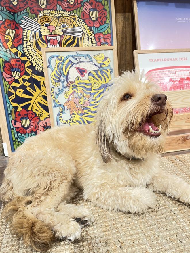 Su ‘concept store’ aglutina arte, diseño y objetos curiosos.