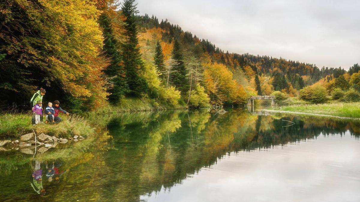 Las imágenes de la Selva de Irati en pleno otoño