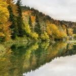 Las imágenes de la Selva de Irati en pleno otoño