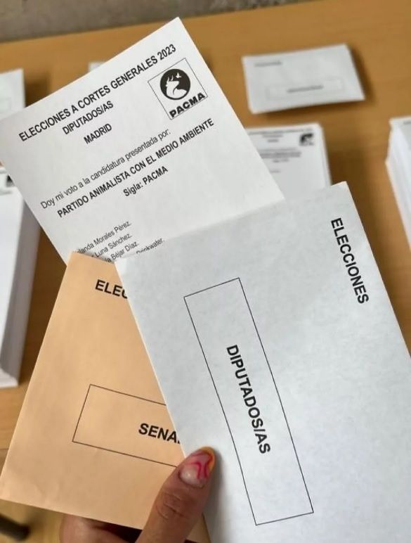 La historia que publicó la 'influencer' en el momento de ir a votar.