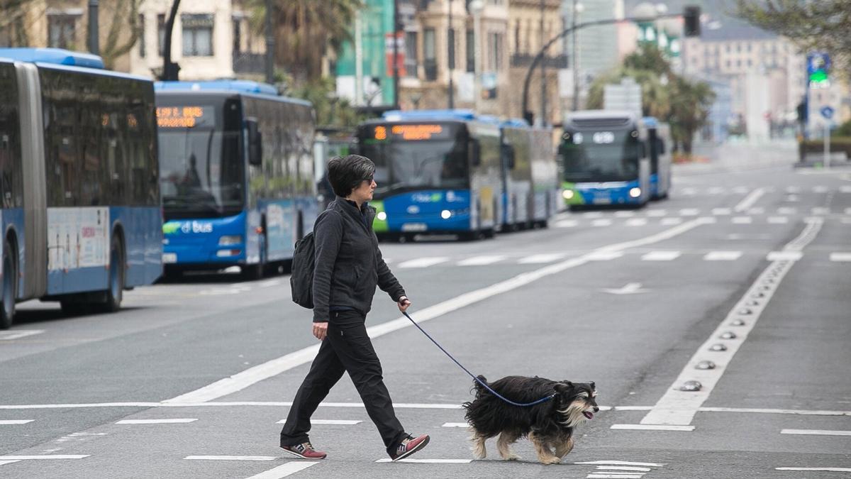 Una mujer pasea al perro en Donostia
