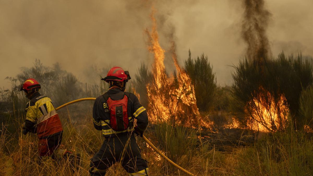Semana negra de incendios: Cuatro muertos y 120.000 hectáreas quemadas