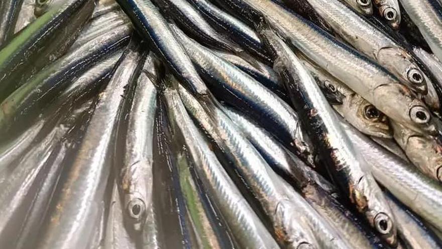 Anchoa desembarcada este miércoles en Pasaia.