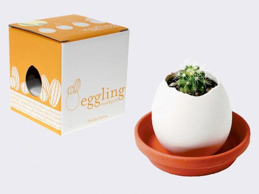 El 'eggling' viene empaquetado en una pequeña caja.
