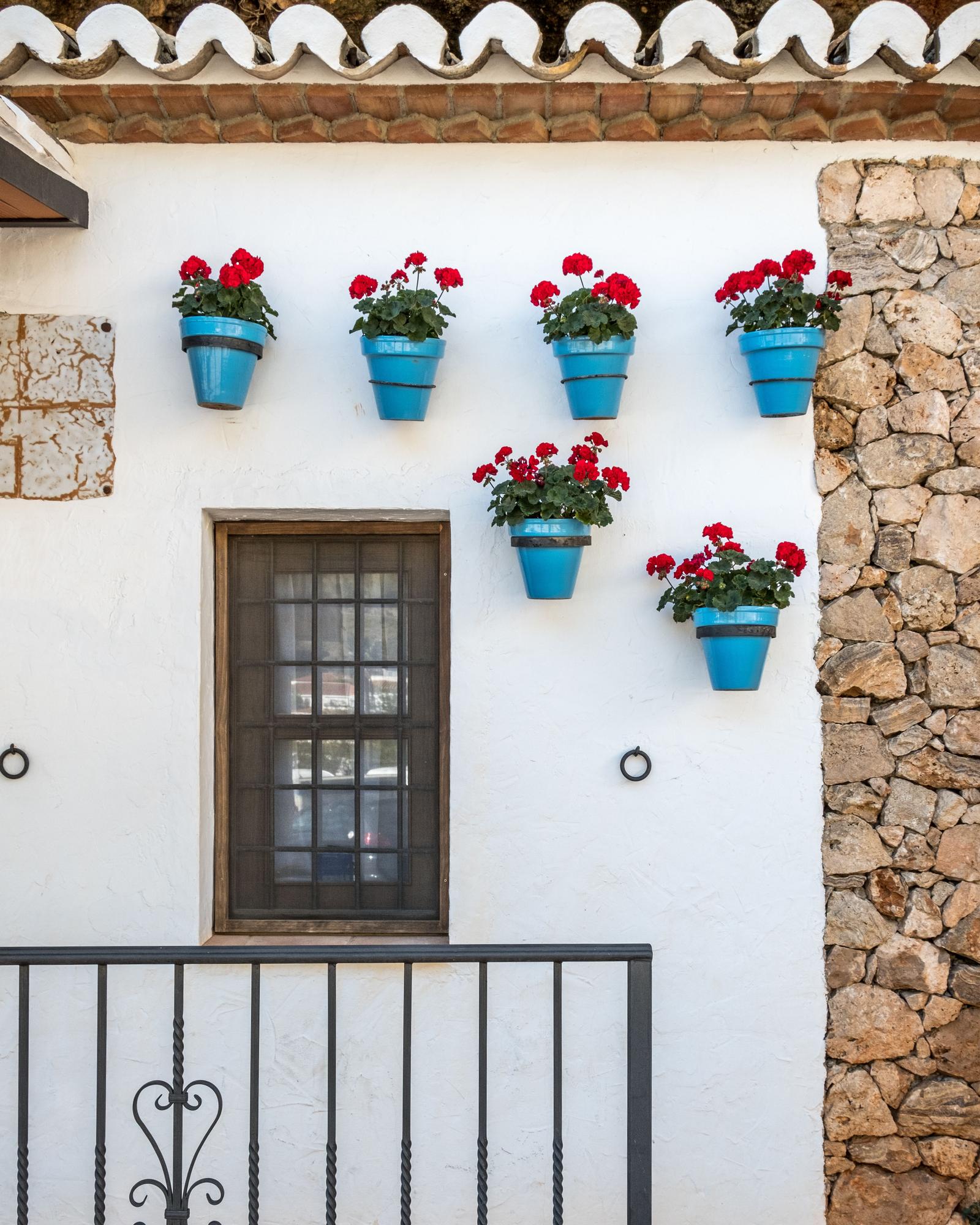 En Europa, los geranios se ha consolidado como la planta favorita para decorar balcones durante el verano.
