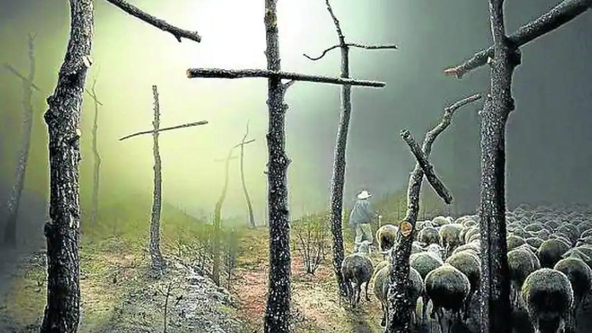 Fotografía premiada en el veterano certamen de la villa armera en la edición de 2023.