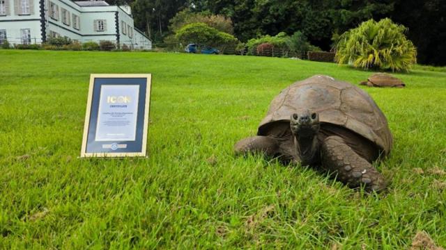 La tortuga Jonathan posa con su reconocimiento del Libro Guinness de los Récords